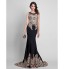 Formal Evening Dress Trumpet / Mermaid Scoop Sweep / Brush Train Spandex with Crystal Detailing  